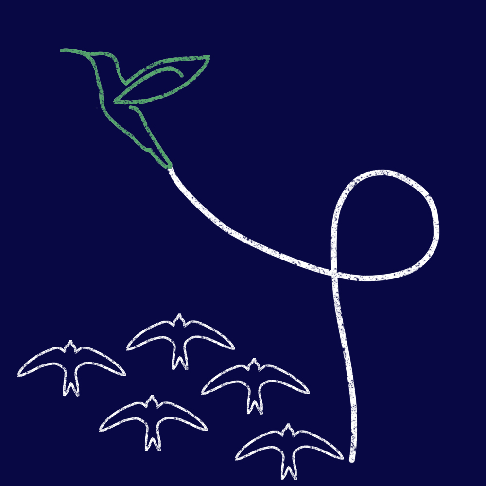 hummingbird-flock-green